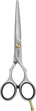 Jaguar Ergo 6.0" Professional Hair Shears: Stainless Steel, Satin Finish