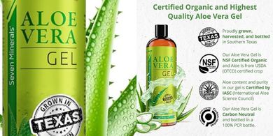 Texas Grown Organic Aloe Vera Gel: 12oz, Vegan, Unscented
